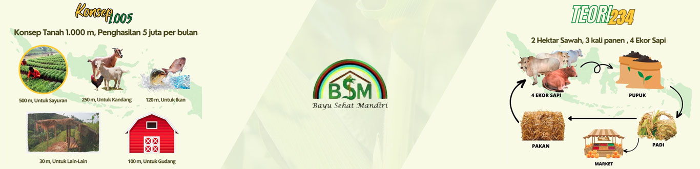home-banner